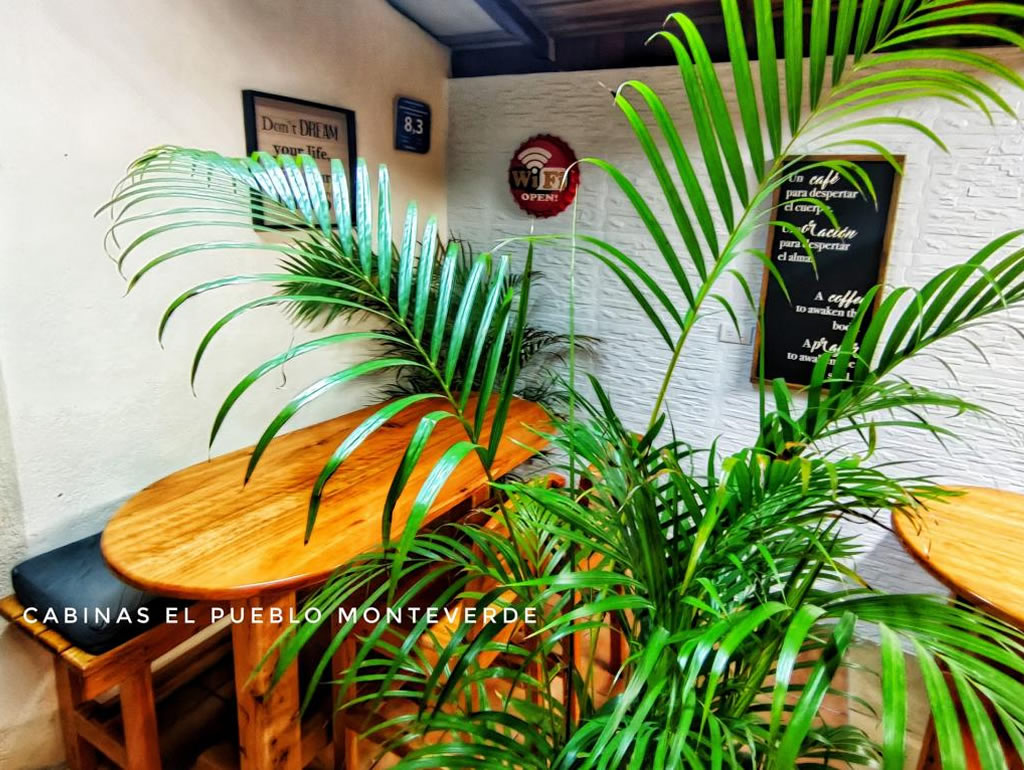 Cabinas El Pueblo Bed And Breakfast