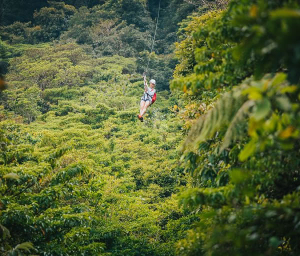 SELVATURA CANOPY TOUR