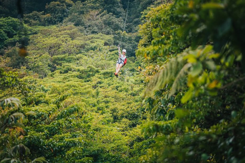 Selvatura Canopy Tour Suspensions Bridges