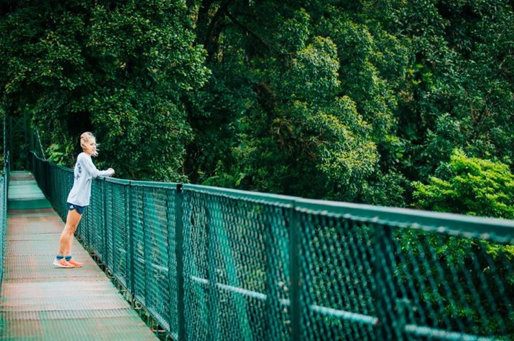 Selvatura Suspensions Bridges