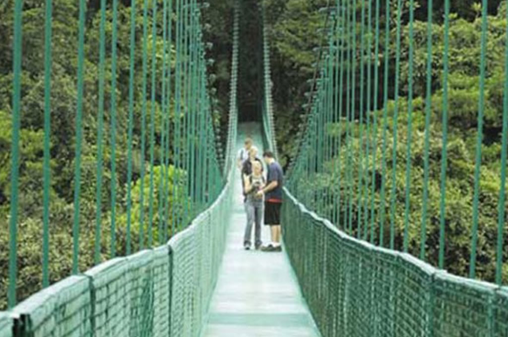 Selvatura Suspensions Bridges